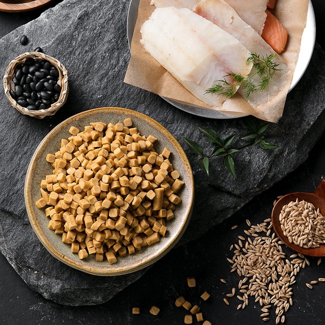 필드게인 라이트 200g