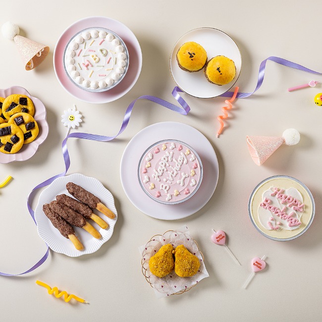 강아지 생일 케이크 상차림 패키지